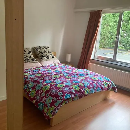 Apartment Charming Sunny 100m2 Entire With 2 Bedrooms Brasschaat